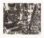 Jean-Paul Riopelle: Saint-Paul X - Signed Print