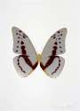 Damien Hirst: The Souls III (silver gloss, burgundy, cool gold) - Signed Print
