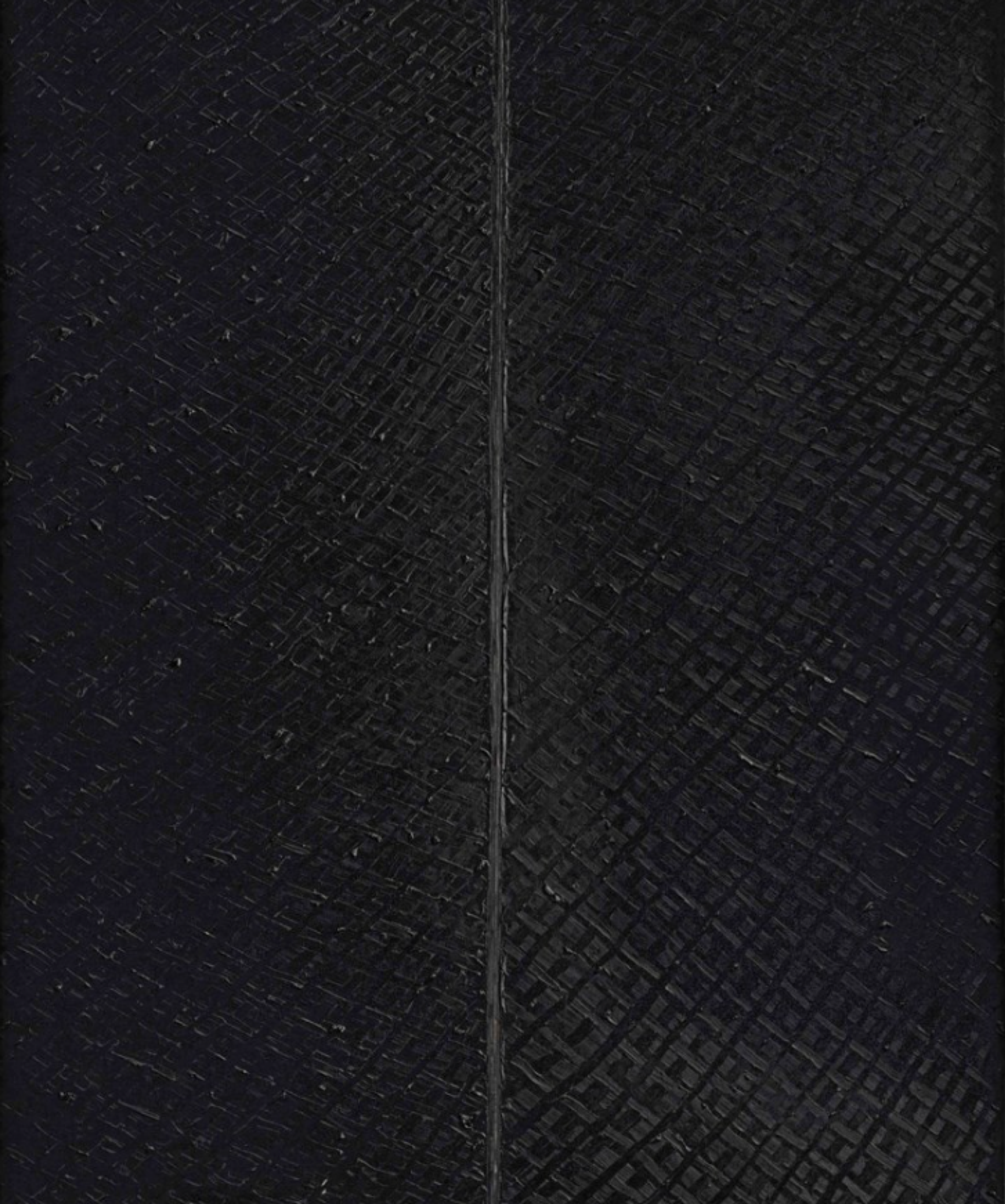 A black canvas, split vertically by a zip.