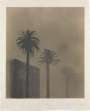 David Hockney: Dark Mist - Signed Print