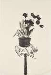 Black Tulips - Signed Print