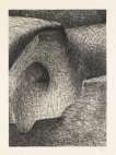 Elephant Skull XVI - Signed Print