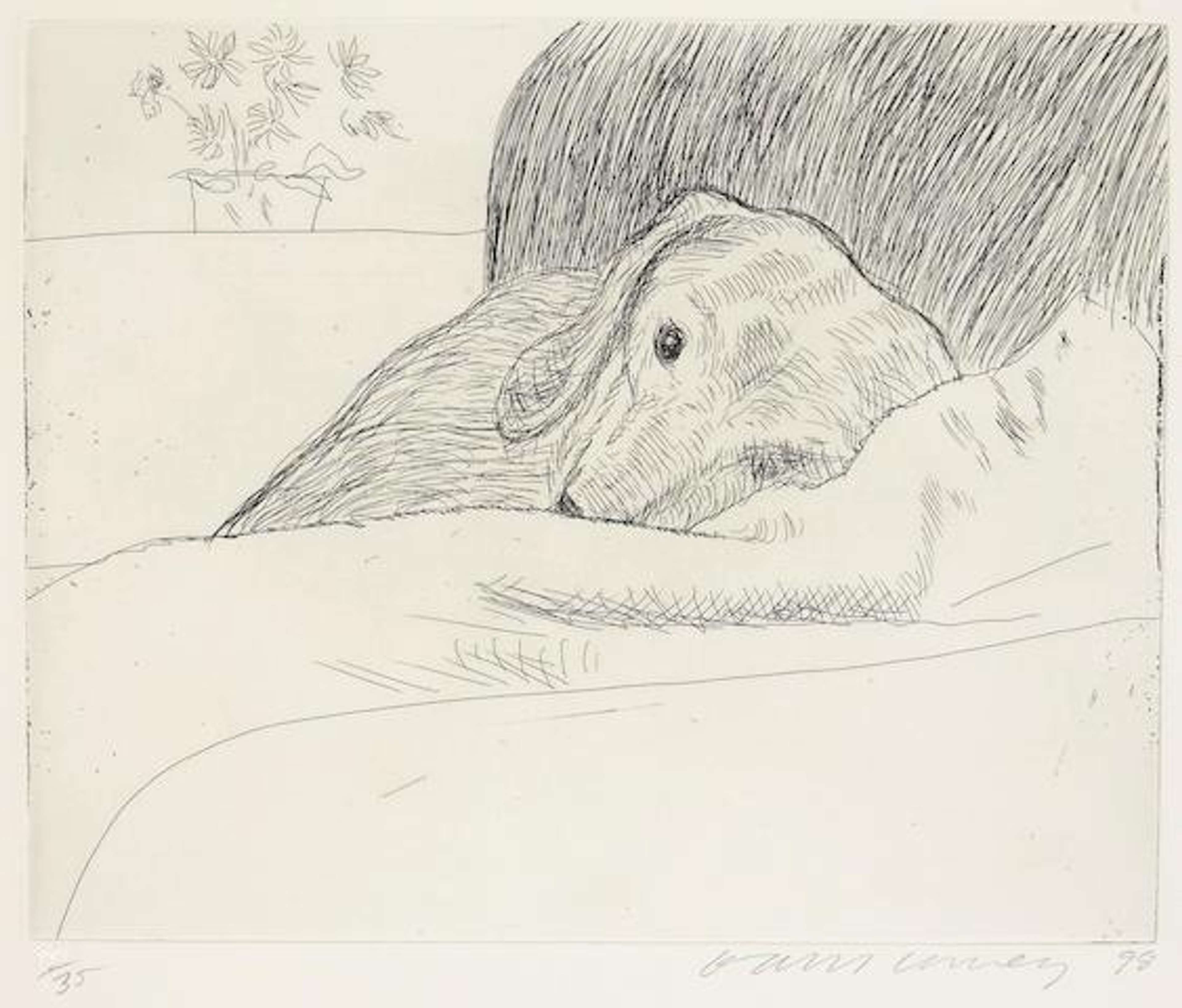 A monochrome etching showing one dachshund curled up asleep, its body forming a gentle arc across the page.
