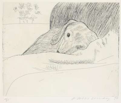 Dog Etching No. 11 - Signed Print by David Hockney 1998 - MyArtBroker