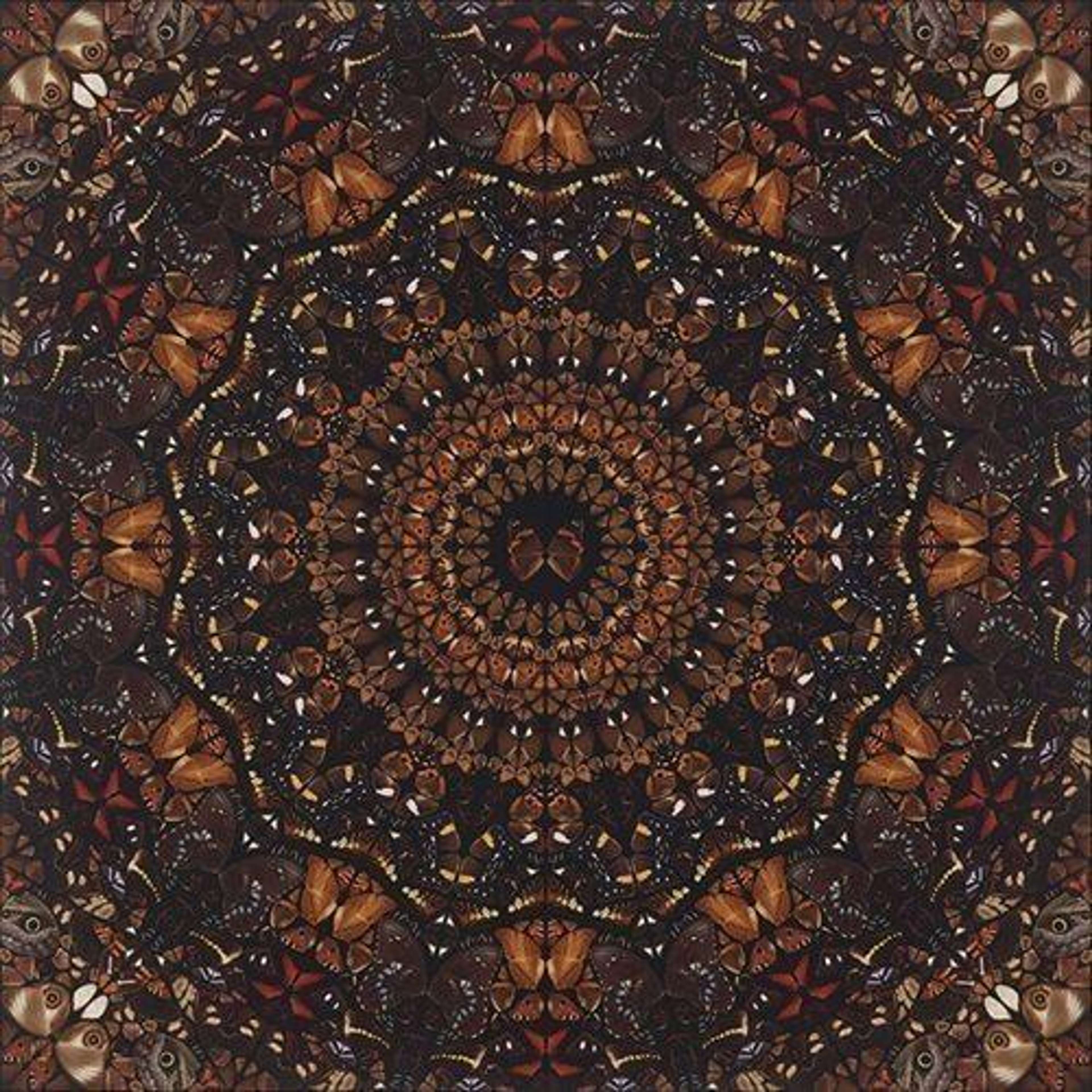 H6-6 Earth - Signed Print by Damien Hirst 2020 - MyArtBroker