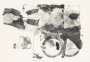 Robert Rauschenberg: Test Stone 7 - Signed Print