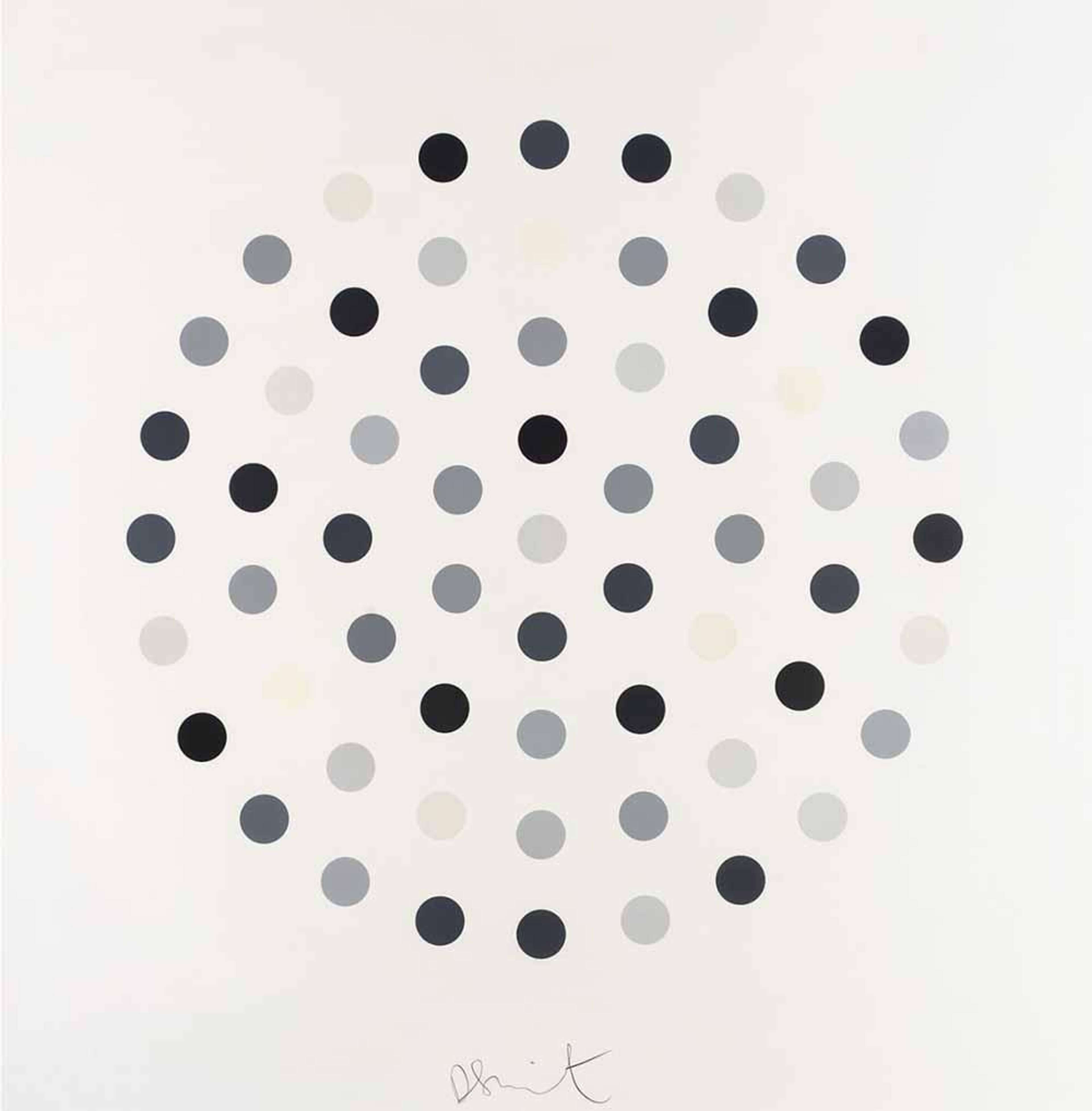 Cinchonidine - Signed Print by Damien Hirst 2004 - MyArtBroker