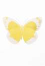 Damien Hirst: The Souls II (oriental gold, silver gloss, blind impression) - Signed Print