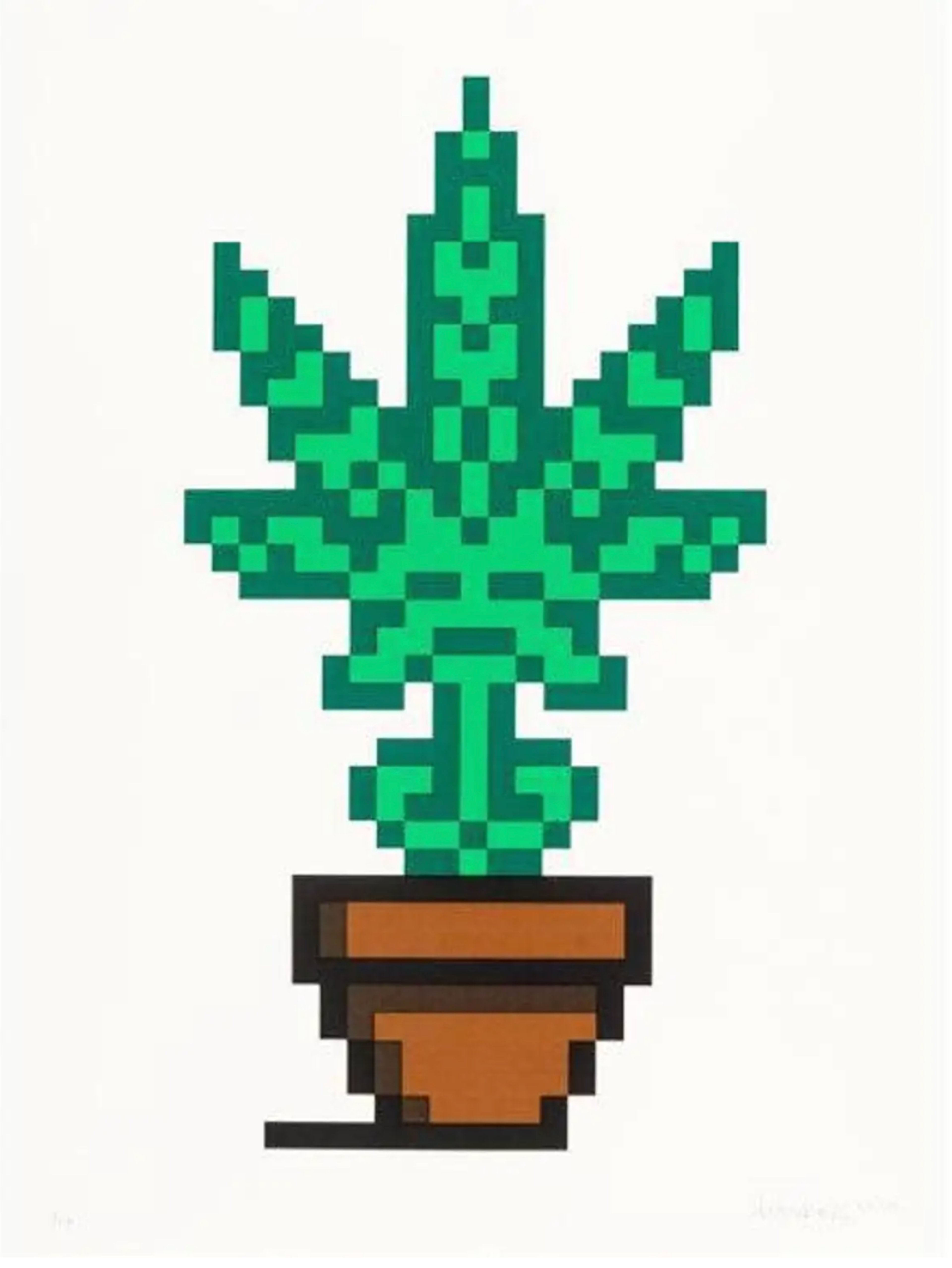 10 faits sur Hollyweed d'Invader