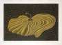Yayoi Kusama: Dancing Pumpkin, Kusama 185 - Signed Print