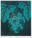 Grapes - Signed Print