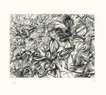 Landscape - Signed Print