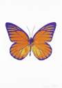 Damien Hirst: The Souls I (prairie copper, oriental gold, imperial purple) - Signed Print
