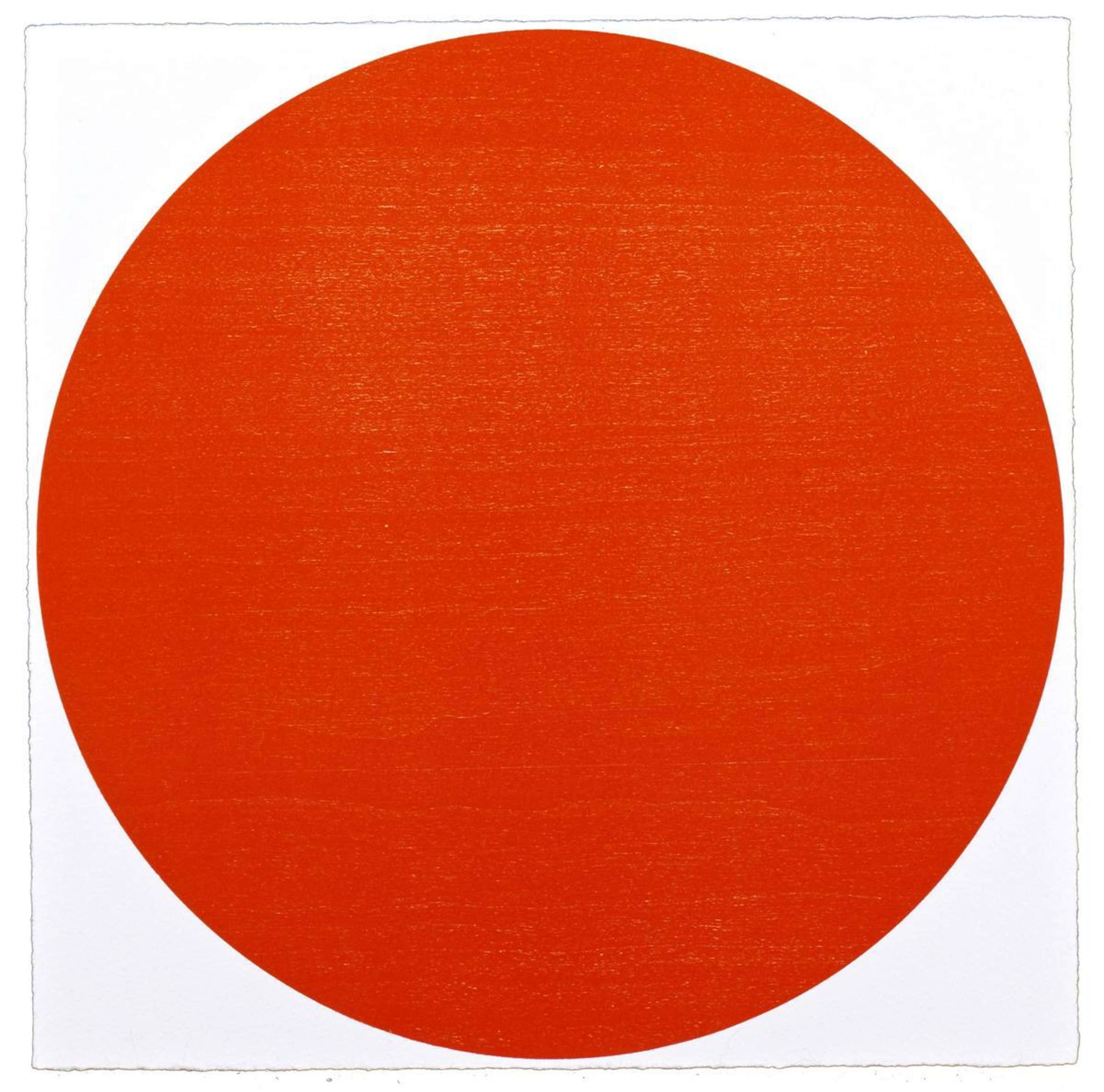 Meparticine par Damien Hirst