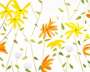 Alex Katz: Flower 2 - Signed Print