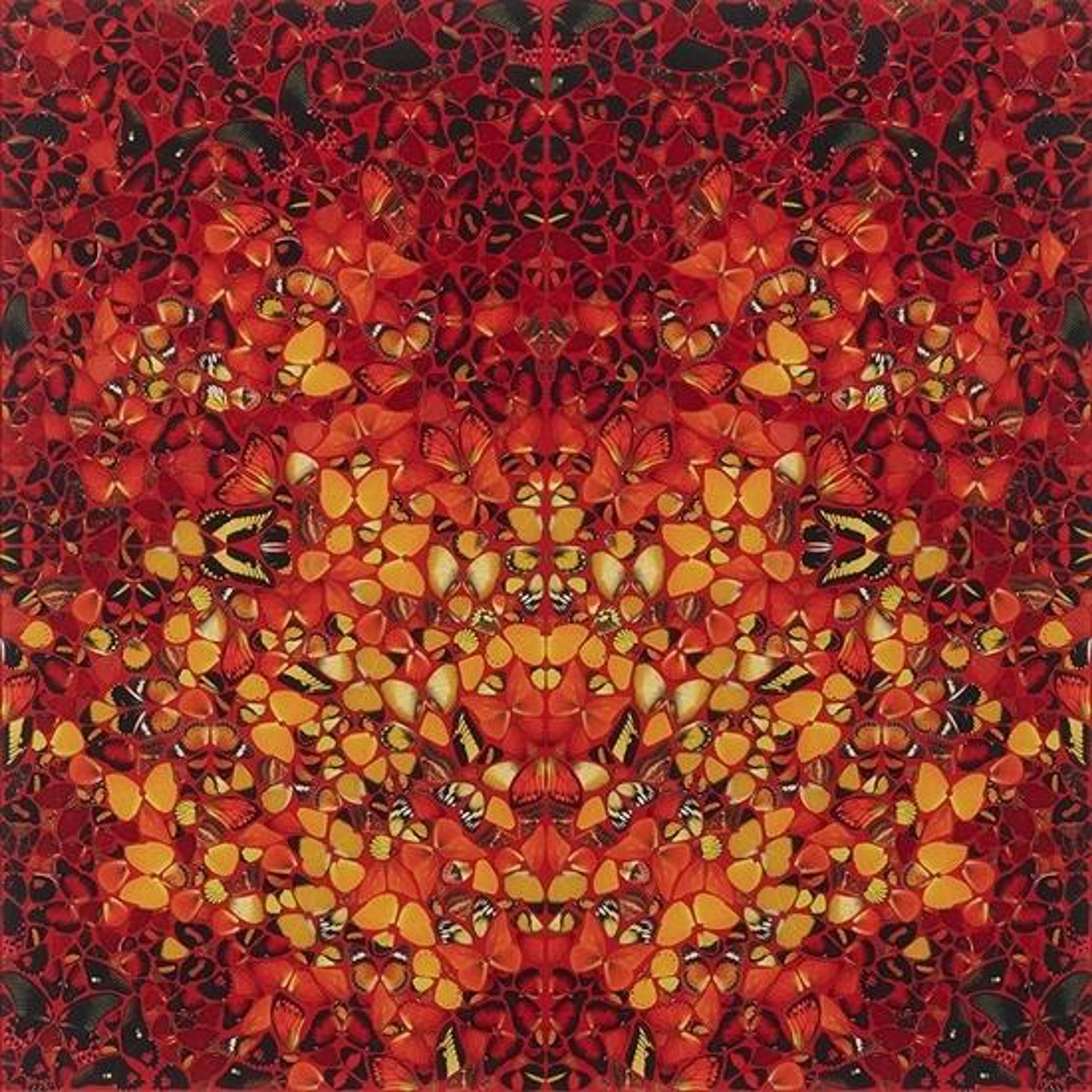 H6-8 Fire de Damien Hirst