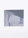 Francois Xavier Lalanne: Le Moustique - Signed Print