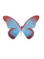 Damien Hirst: The Souls IV (frost blue, burgundy, silver gloss) - Signed Print