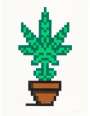 Invader: Hollyweed (brown) - Signed Print