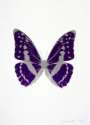Damien Hirst: The Souls III (imperial purple, silver gloss) - Signed Print
