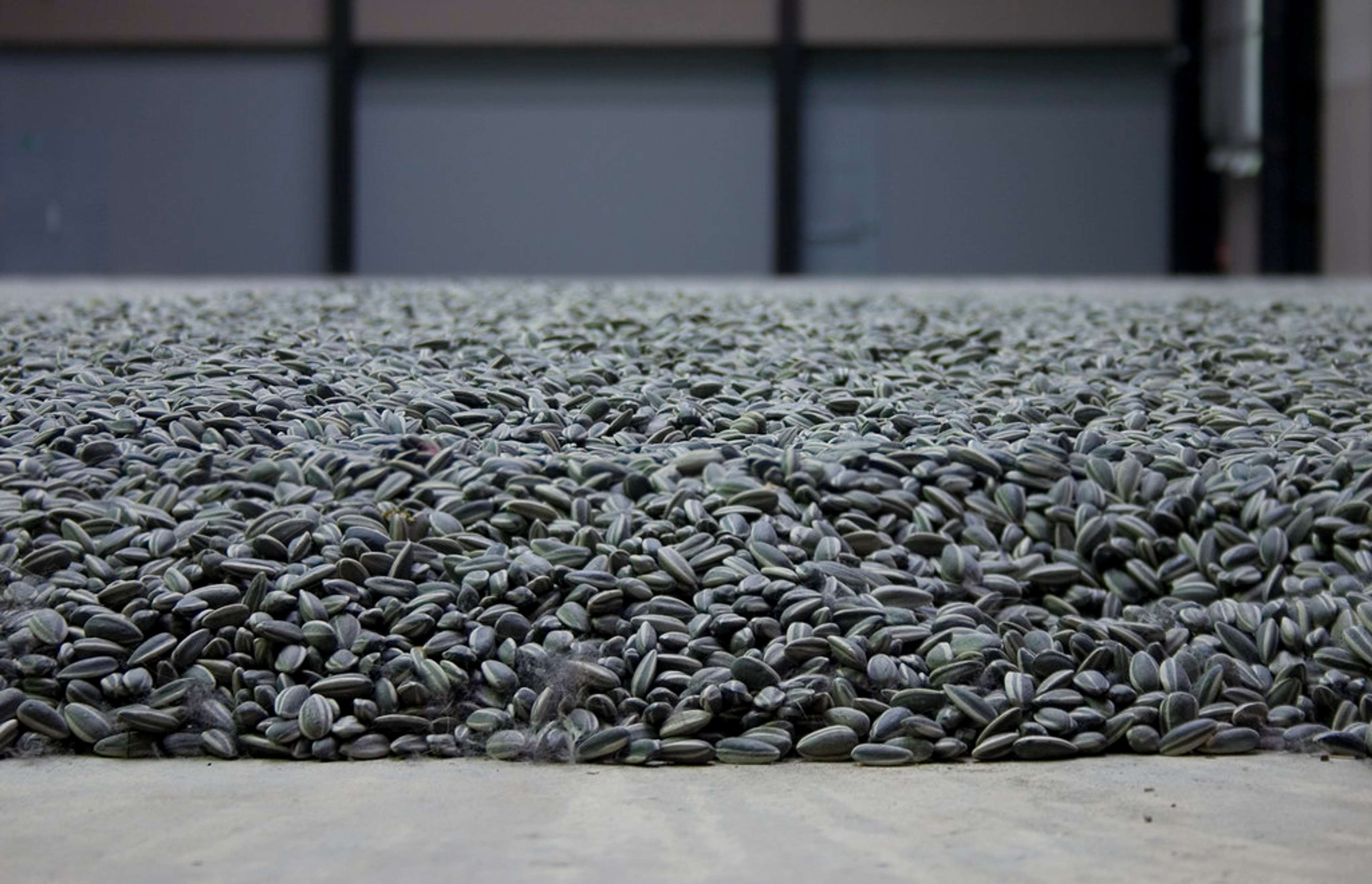 Gros plan sur l'installation *Sunflower Seeds* d'Ai Weiwei à la Tate Modern, à Londres en 2010.