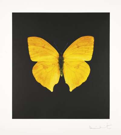 The Souls On Jacob's Ladder 1 - Signed Print by Damien Hirst 2007 - MyArtBroker