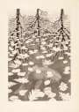 Maurits Cornelis Escher: Three Worlds - Signed Print