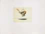 Wayne Thiebaud: Bird - Signed Print