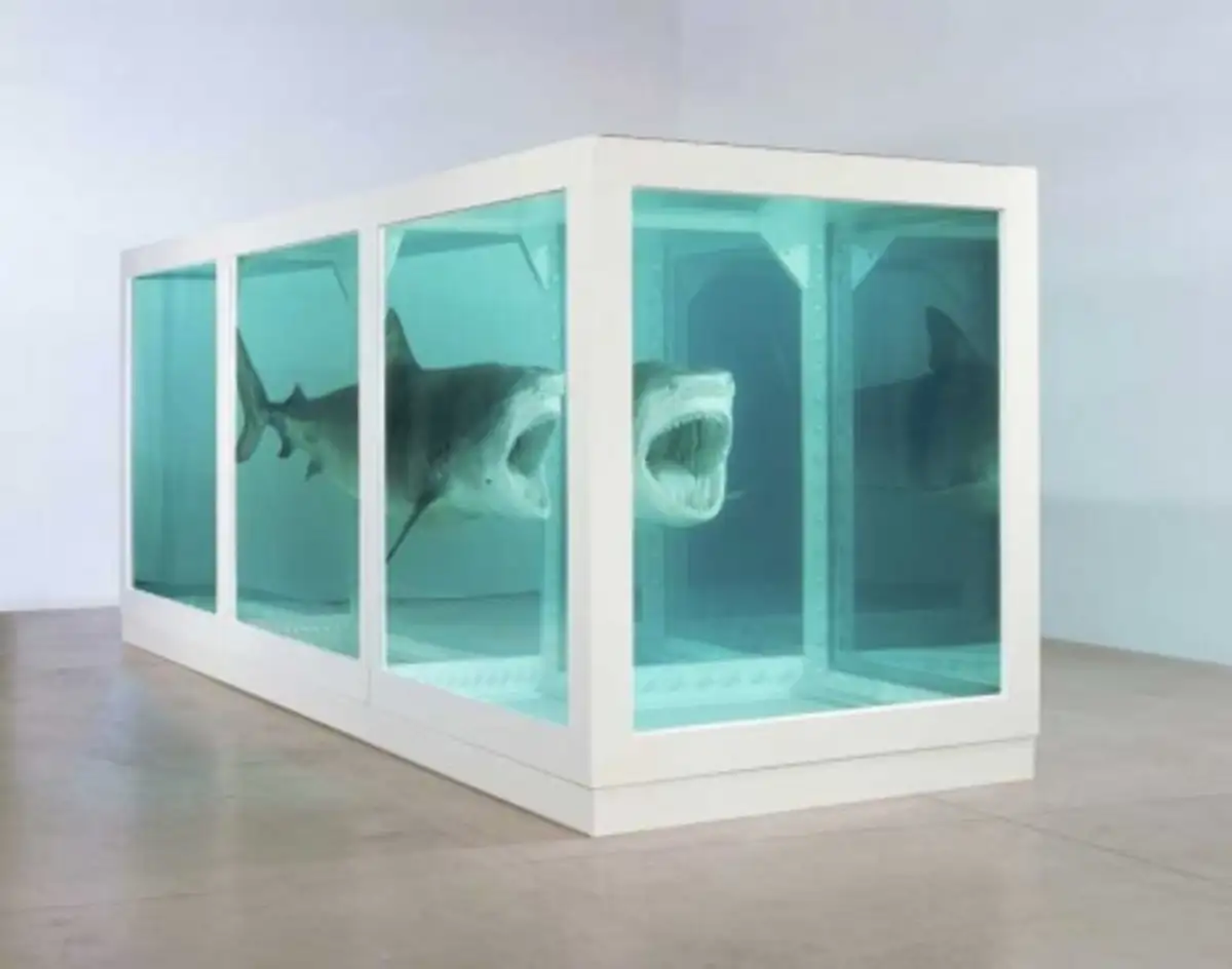 Une image de l'œuvre « The Physical Impossibility Of Death In The Mind Of Someone Living » de Damien Hirst. Elle montre un grand requin-tigre conservé dans du formaldéhyde, à l'intérieur d'un grand aquarium divisé en trois sections par des cadres blancs.