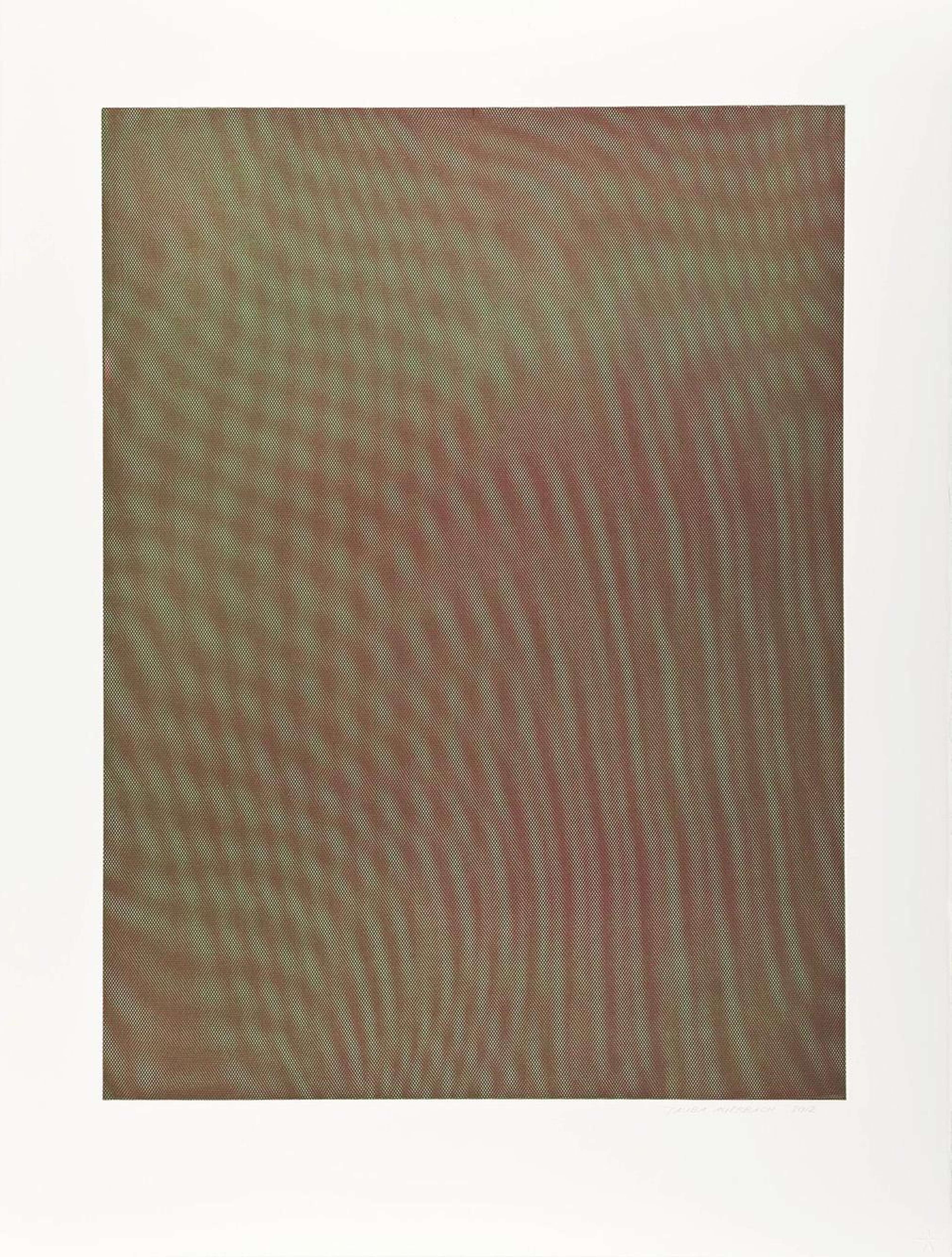 Mesh Moire I - Signed Print by Tauba Auerbach 2012 - MyArtBroker