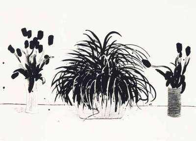 Two Vases Of Cut Flowers And A Liriope Plant - Signed Print by David Hockney 1979 - MyArtBroker