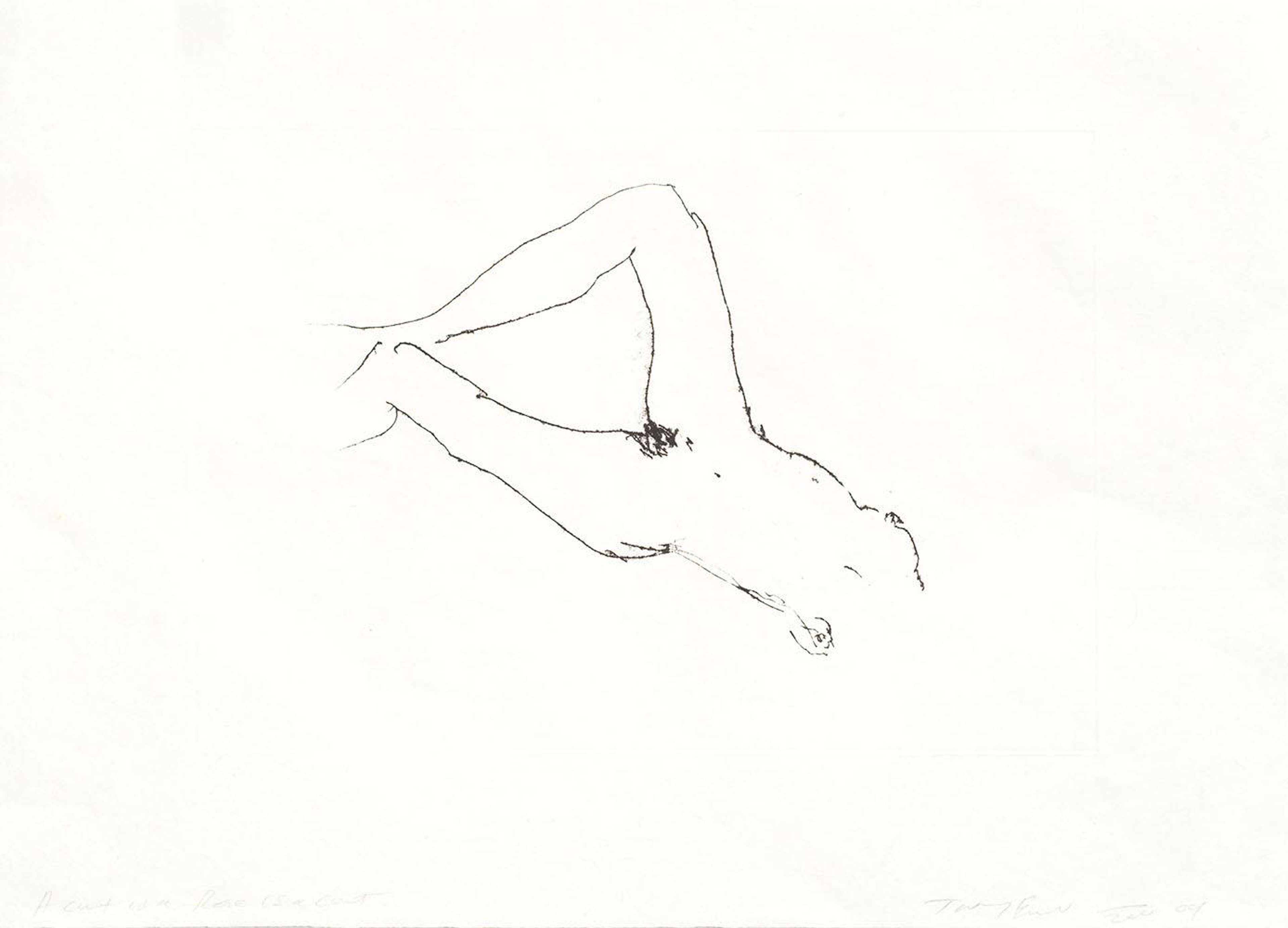 Une eau-forte de Tracey Emin représentant le torse et le bassin d'une femme, sans le bas des jambes ni la tête.