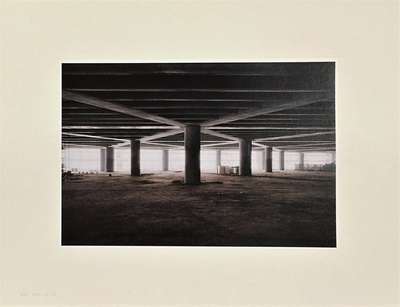 Becoming #31 - Unsigned Print by Ai Weiwei 2006 - MyArtBroker