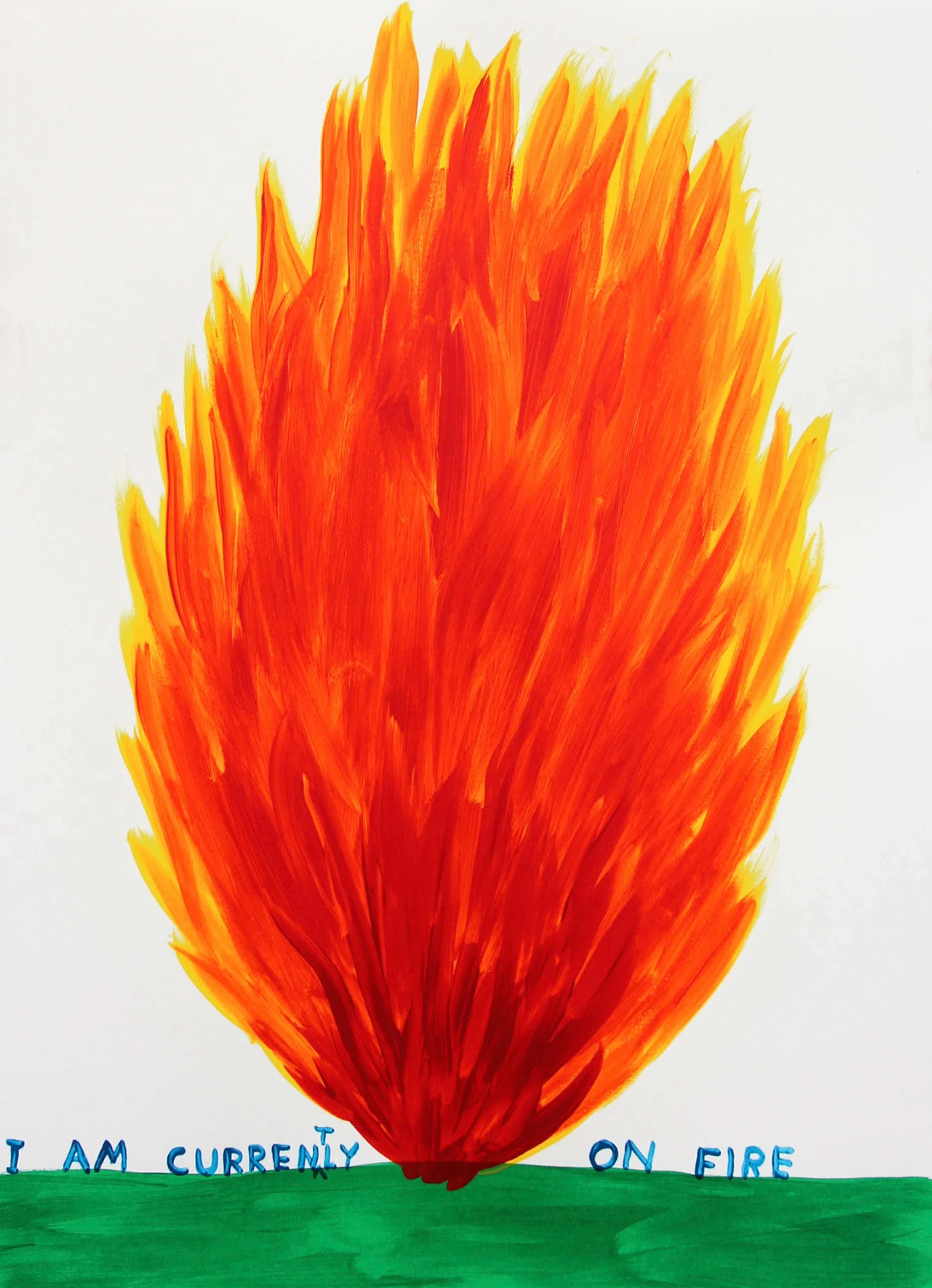 Une image de l'estampe "I Am Currently On Fire" de l'artiste David Shrigley, montrant un grand feu sur de l'herbe. Au bas de la flamme se trouve le titre de l'estampe.