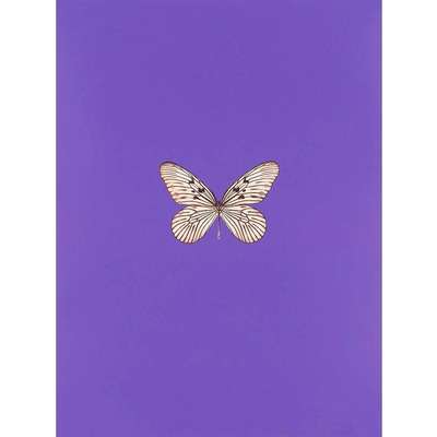 It's A Beautiful Day 1 - Signed Print by Damien Hirst 2013 - MyArtBroker