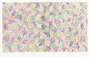 Jasper Johns: Scent - Signed Print