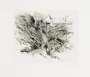 Julie Mehretu: Untitled 1 (Amulets) - Signed Print