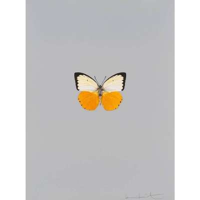 It's A Beautiful Day 4 - Signed Print by Damien Hirst 2013 - MyArtBroker