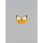 Damien Hirst: It's A Beautiful Day 4 - Signed Print
