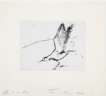 About To Fly - Signed Print