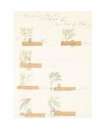 Title Page (from Natural History Part II - Some Trees Of Italy) - Signed Print