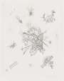 Wassily Kandinsky: Kleine Welten X - Signed Print