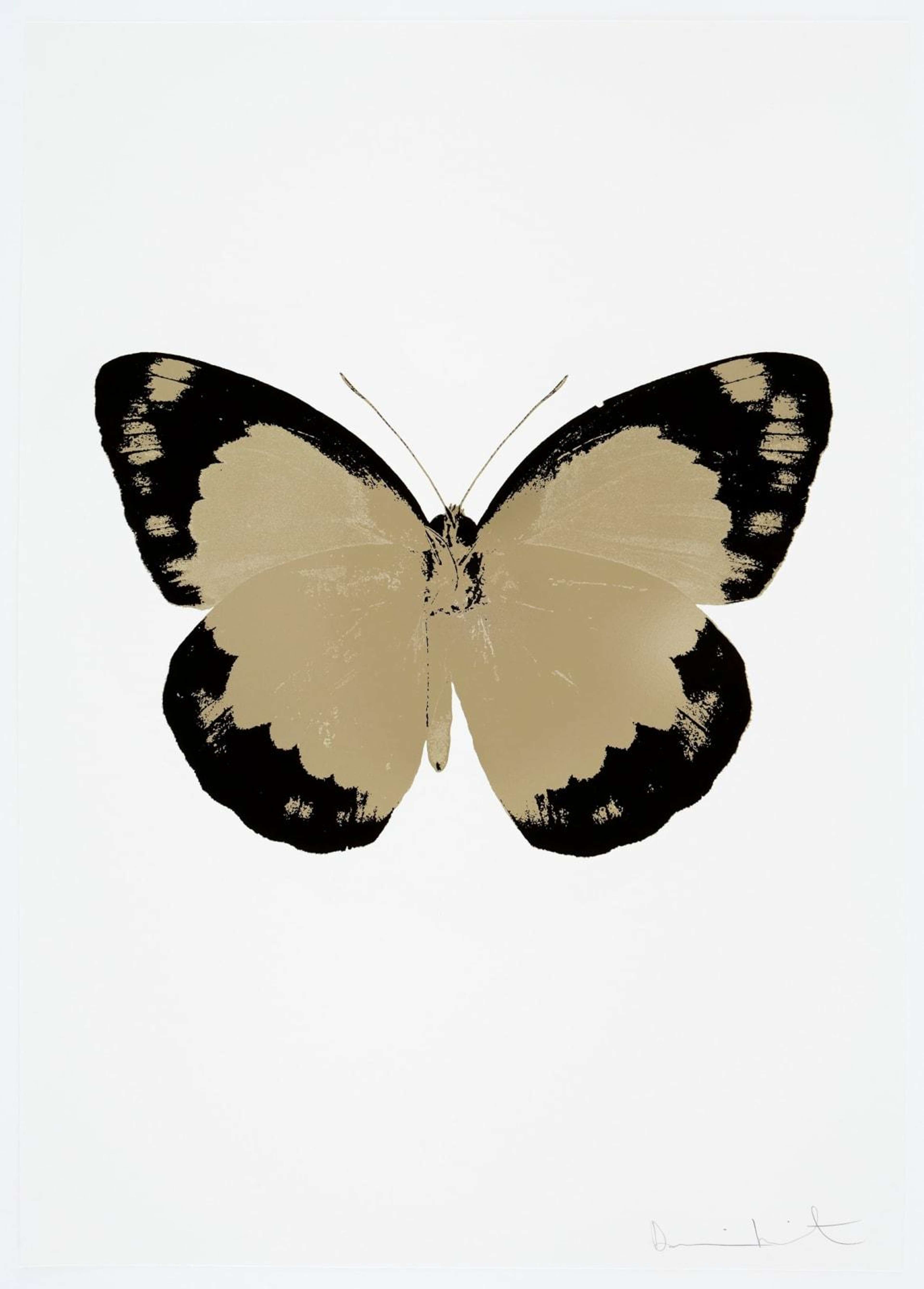The Souls II (cool gold, raven black, blind impression) - Signed Print by Damien Hirst 2010 - MyArtBroker