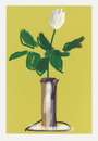 David Hockney: White Rose - Signed Print