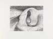 Elephant Skull VIII - Signed Print