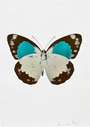 Damien Hirst: The Souls II (silver gloss, chocolate, topaz) - Signed Print
