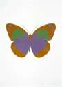 Damien Hirst: The Souls II (aquarius, paradise copper, leaf green) - Signed Print