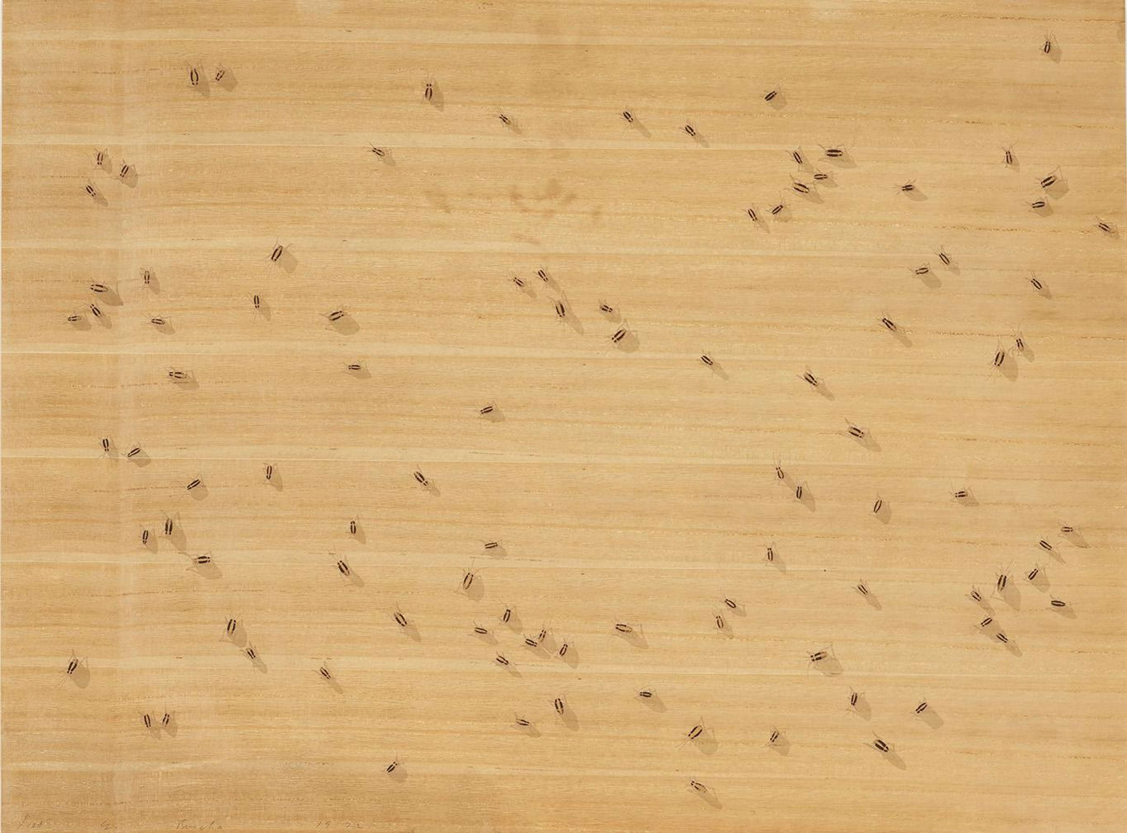 Cockroaches - Signed Print by Ed Ruscha 1972 - MyArtBroker