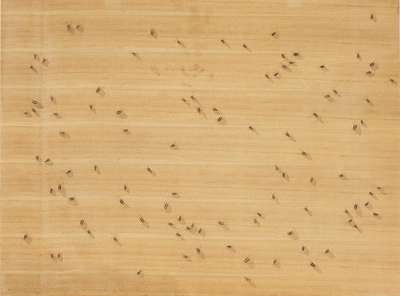 Cockroaches - Signed Print by Ed Ruscha 1972 - MyArtBroker