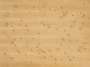 Ed Ruscha: Cockroaches - Signed Print